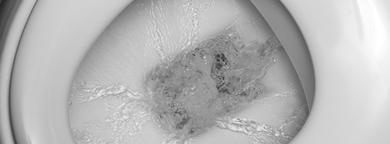 정림동하수구막힘